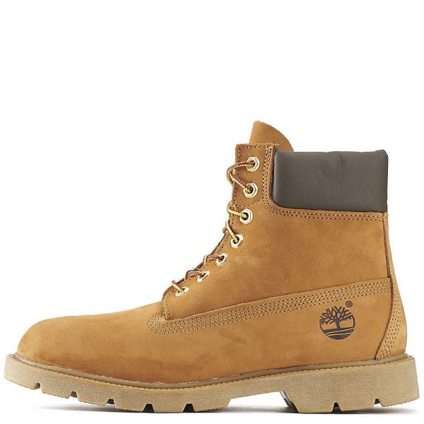 Men s 6 In Basic Boots Supply