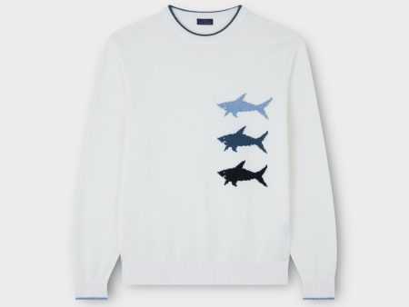 Paul & Shark Cotton Round-neck Sweatshirt I Creme hvid Online